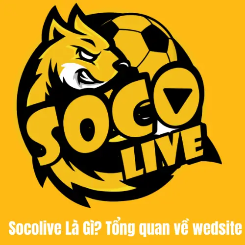 Socolive Là Gì? Tổng quan về wedsite